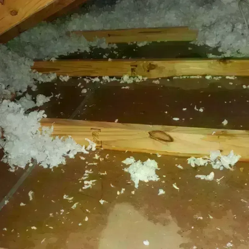 Attic Water Damage in Gila County, AZ