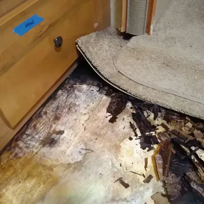 Best Wood Floor Water Damage Service in Gila County, AZ